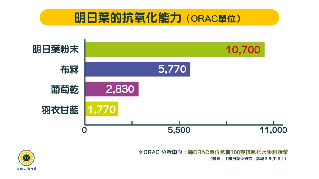 香港大輪明日葉研究指出，明日葉粉末的抗氧化能力是羽衣甘藍的六陪，是高抗氧化保健食品，避免身體發炎、老化，緩減細胞老化，有效預防血管、肝臟和肺功能受損
